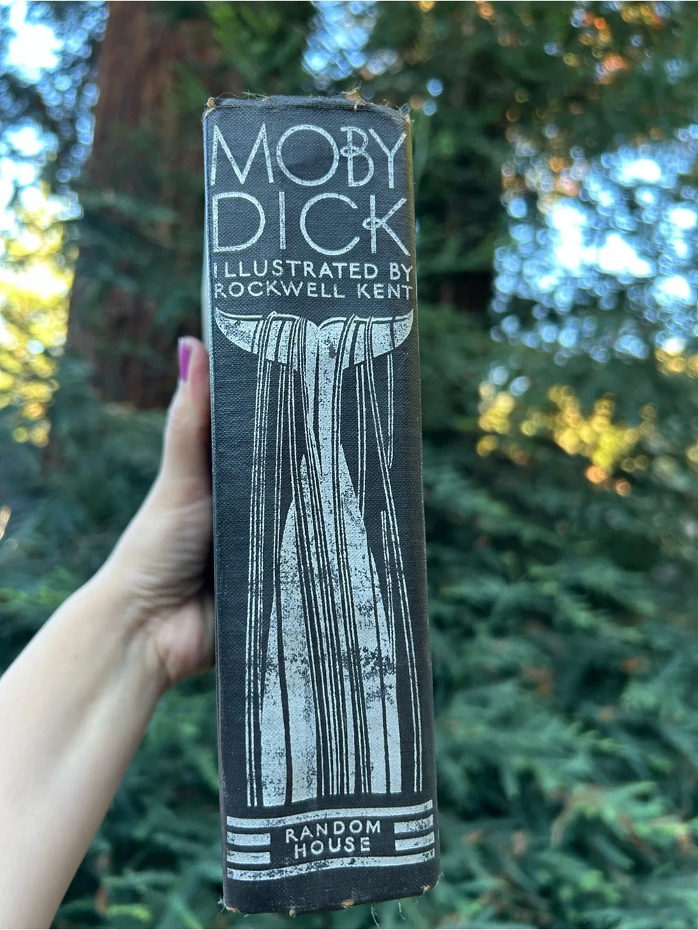 N/A classic moby